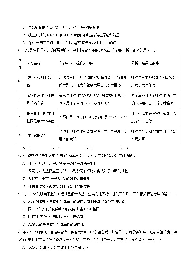 重庆市万州第三中学等多校联考2024-2025学年高一下学期4月期中考试生物试卷（Word版附答案）第2页