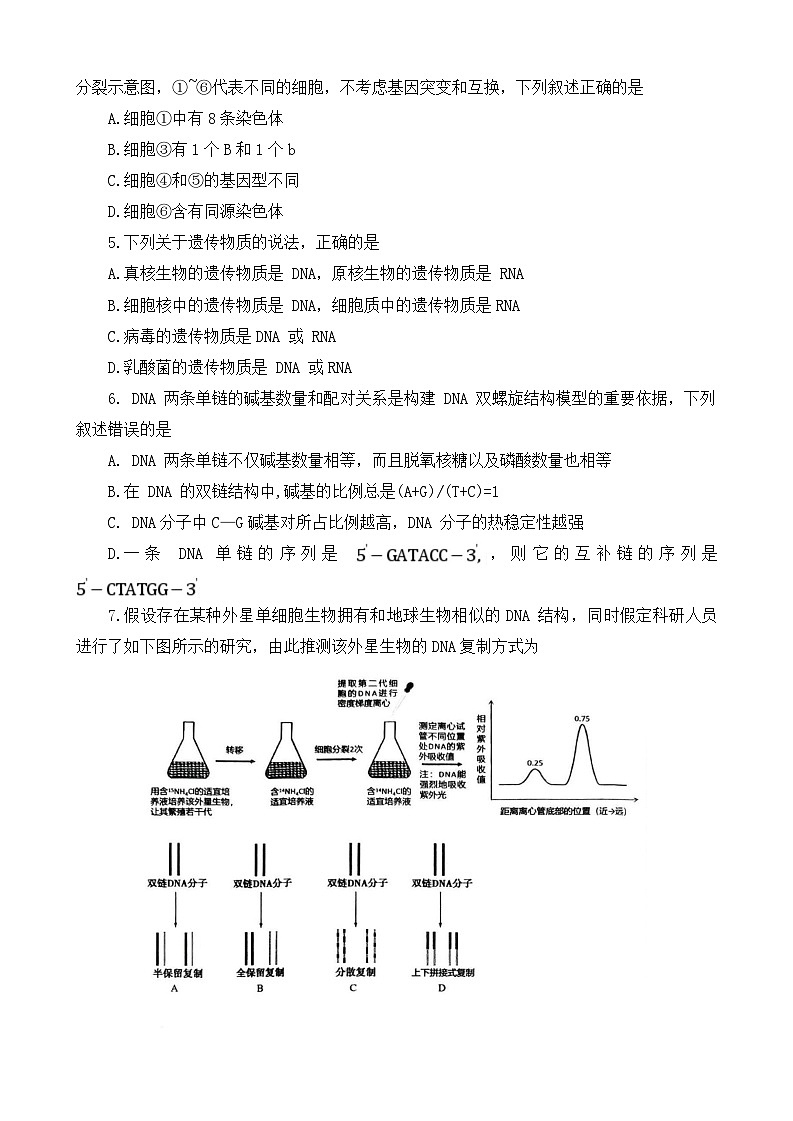 河南省部分名校联盟2024-2025学年高一下学期第三次月考生物试题（Word版附答案）第2页
