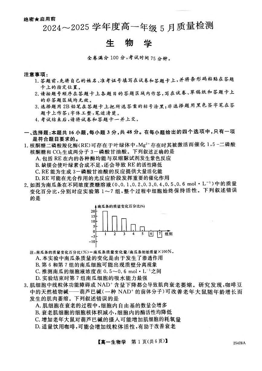 河南省部分学校2024-2025学年高一下学期5月质量检测生物试题（PDF版附解析）第1页