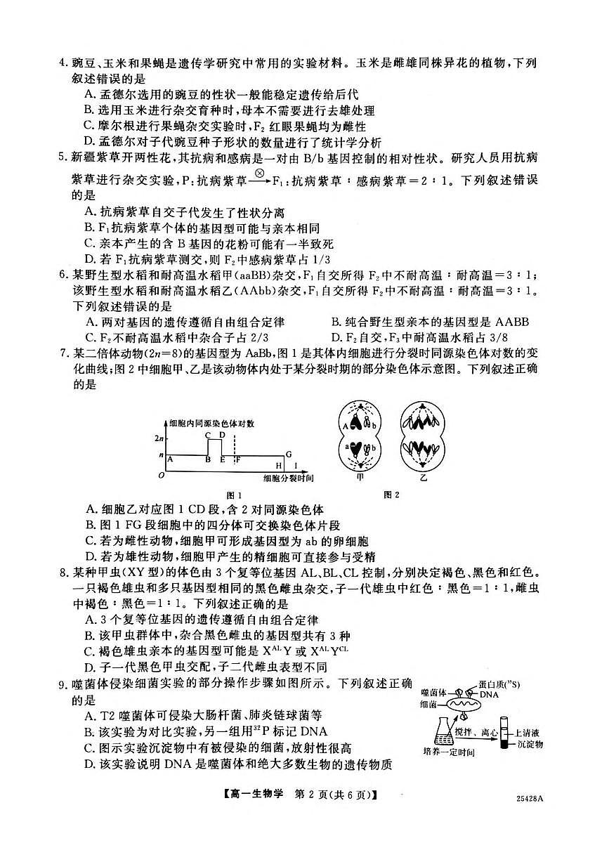 河南省部分学校2024-2025学年高一下学期5月质量检测生物试题（PDF版附解析）第2页