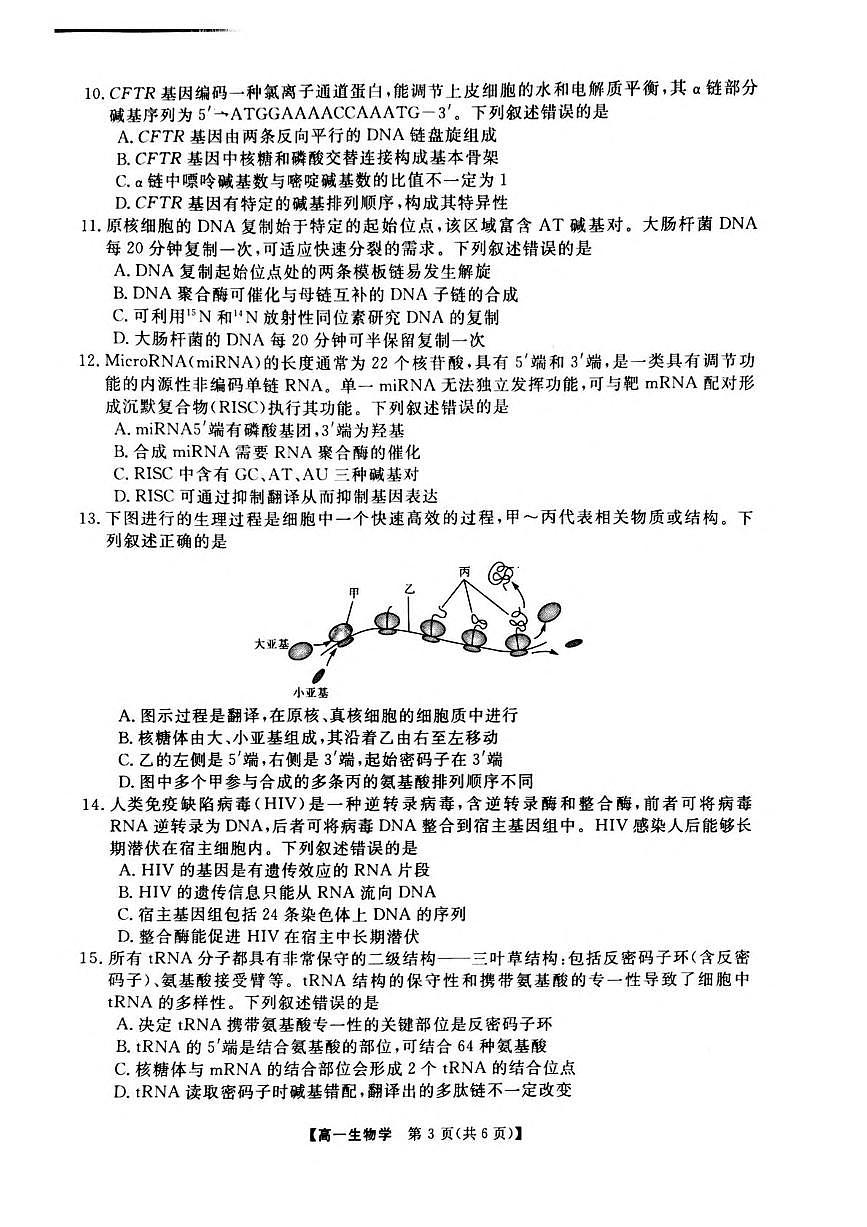河南省部分学校2024-2025学年高一下学期5月质量检测生物试题（PDF版附解析）第3页