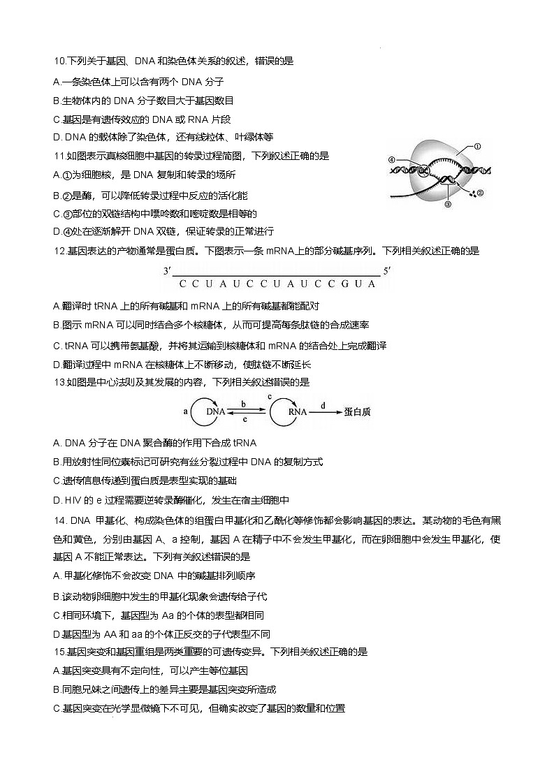 太原市第五中学校2024-2025学年高一下学期5月月考生物试卷第3页