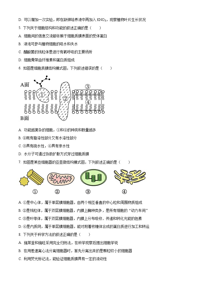 江苏省徐州市2024-2025学年高一上学期1月期末生物试题第2页