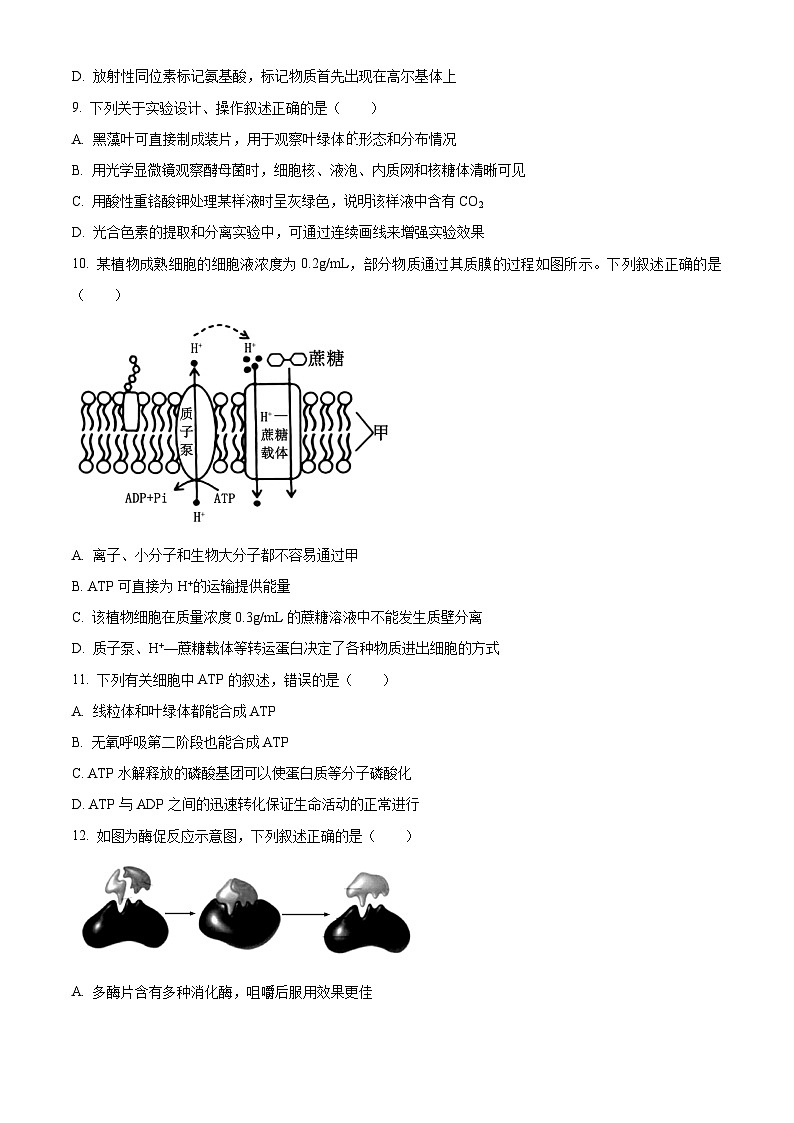 江苏省徐州市2024-2025学年高一上学期1月期末生物试题第3页