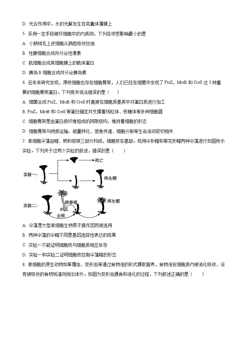 辽宁省锦州市2024-2025学年高一上学期期末考试生物试卷第2页