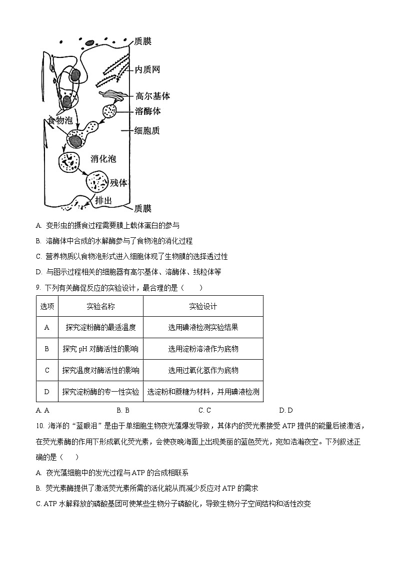 辽宁省锦州市2024-2025学年高一上学期期末考试生物试卷第3页