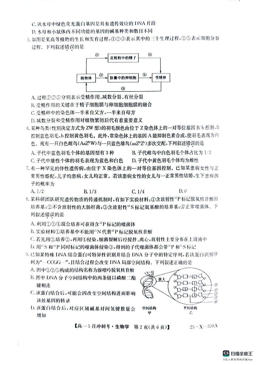 山西省卓越联盟5月联考2024-2025学年高一下学期5月月考生物试题第2页
