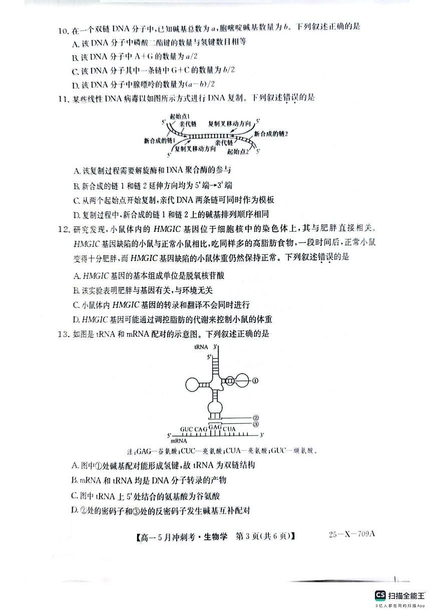 山西省卓越联盟5月联考2024-2025学年高一下学期5月月考生物试题第3页