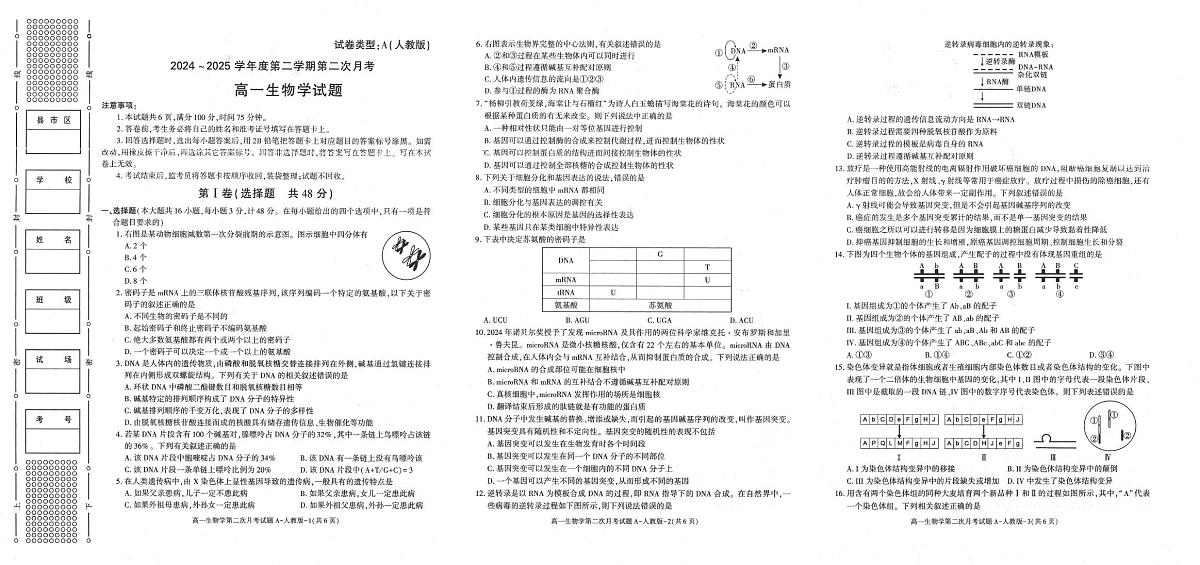陕西省多校2024-2025学年高一下学期6月月考生物试题第1页