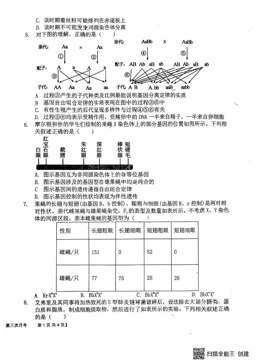 陕西省韩城市象山中学培优部2024-2025学年高一下学期第三次月考生物试题第2页