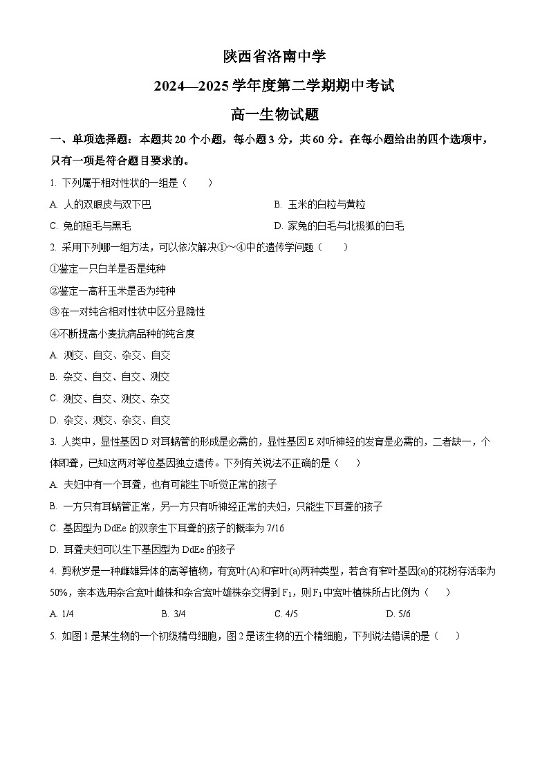 陕西省商洛市洛南县陕西省洛南中学2024-2025学年高一下学期5月期中生物试题第1页