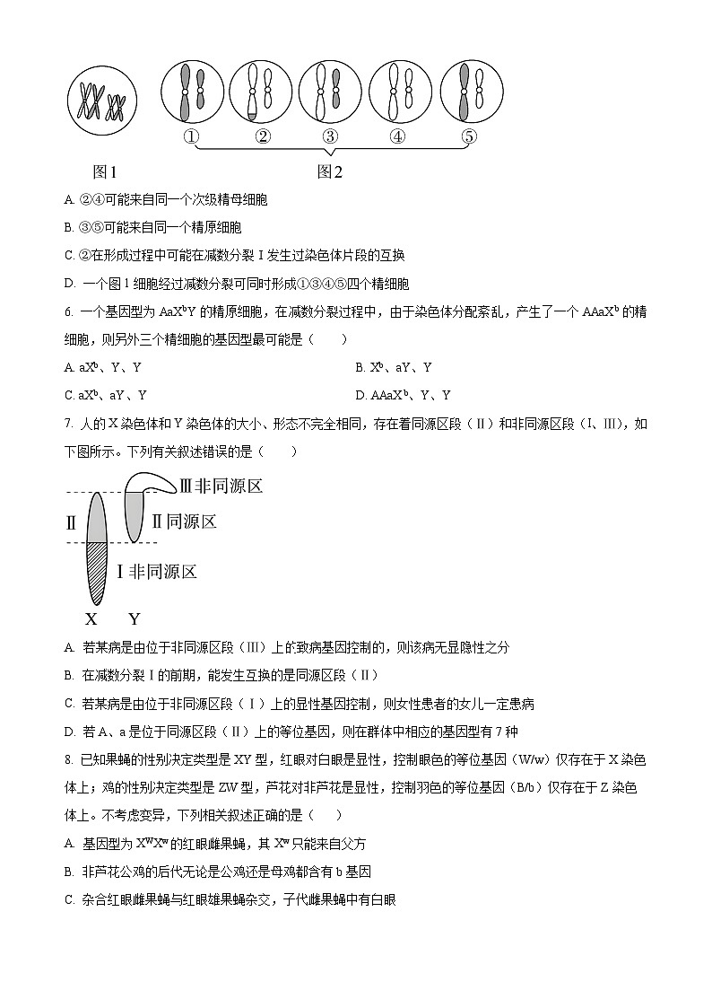 陕西省商洛市洛南县陕西省洛南中学2024-2025学年高一下学期5月期中生物试题第2页