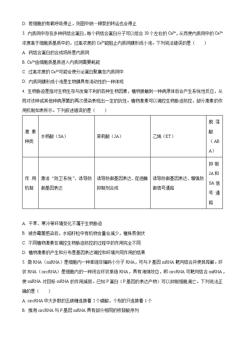 河南省驻马店市2024-2025学年高三上学期1月期末生物试题  Word版无答案第2页