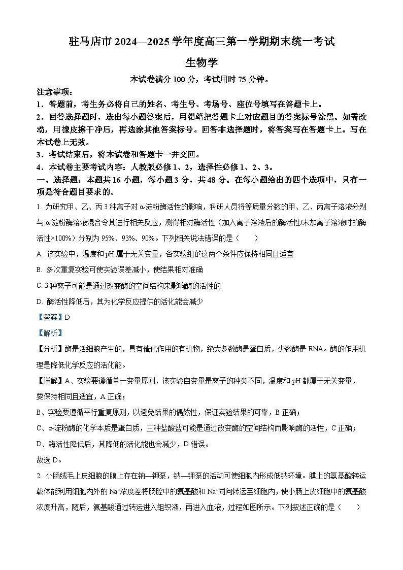 河南省驻马店市2024-2025学年高三上学期1月期末生物试题  Word版含解析第1页