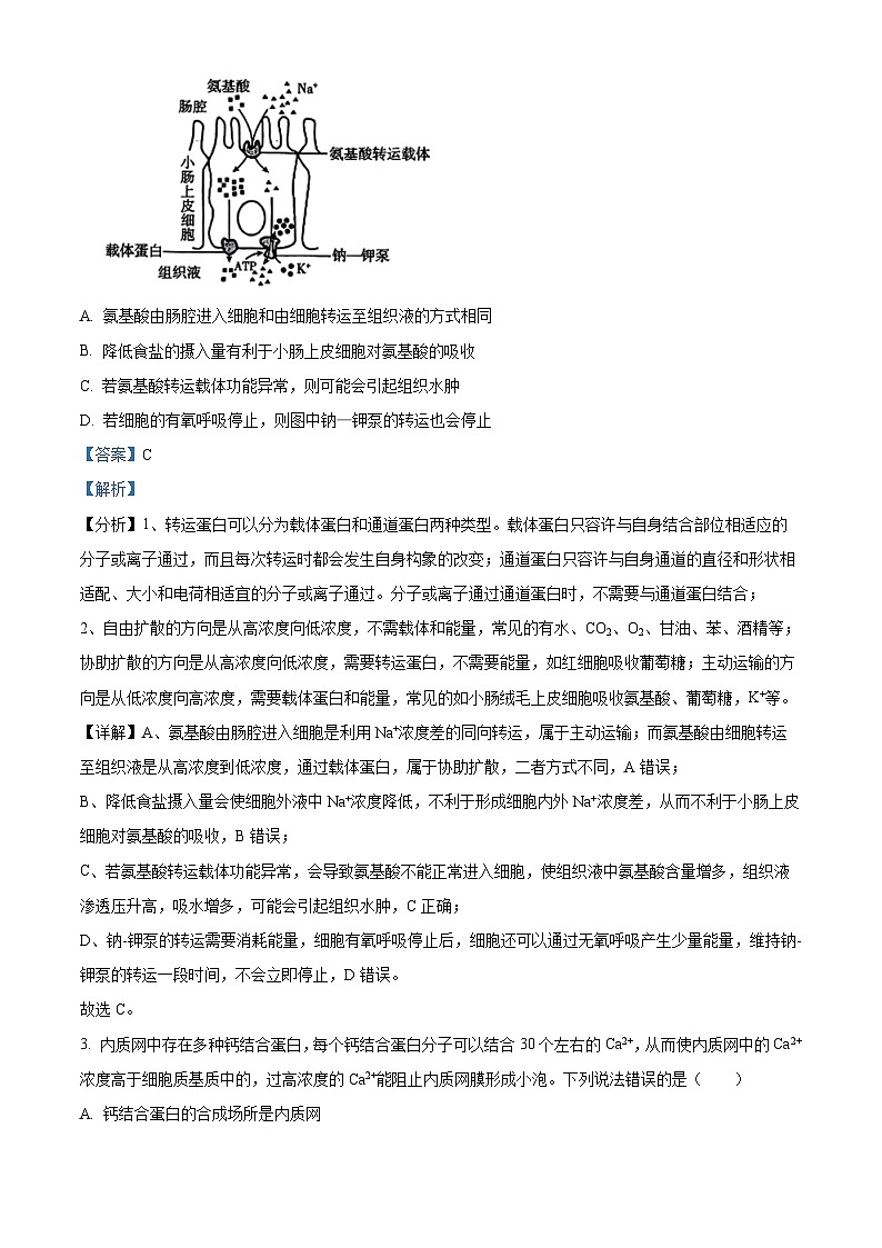河南省驻马店市2024-2025学年高三上学期1月期末生物试题  Word版含解析第2页