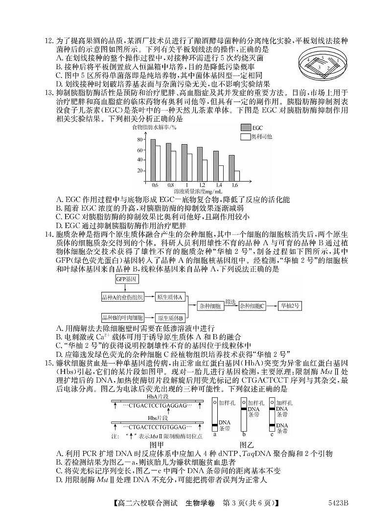 广东省六校联考2026届新高二下学期5月联合测试-生物试题+答案第3页