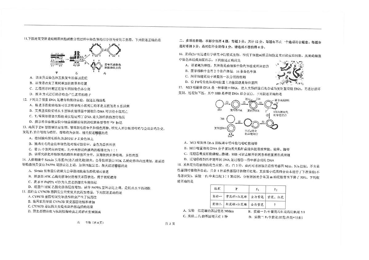 江苏省海安高级中学2024-2025学年高一下学期6月阶段检测生物试卷（PDF版附答案）第2页