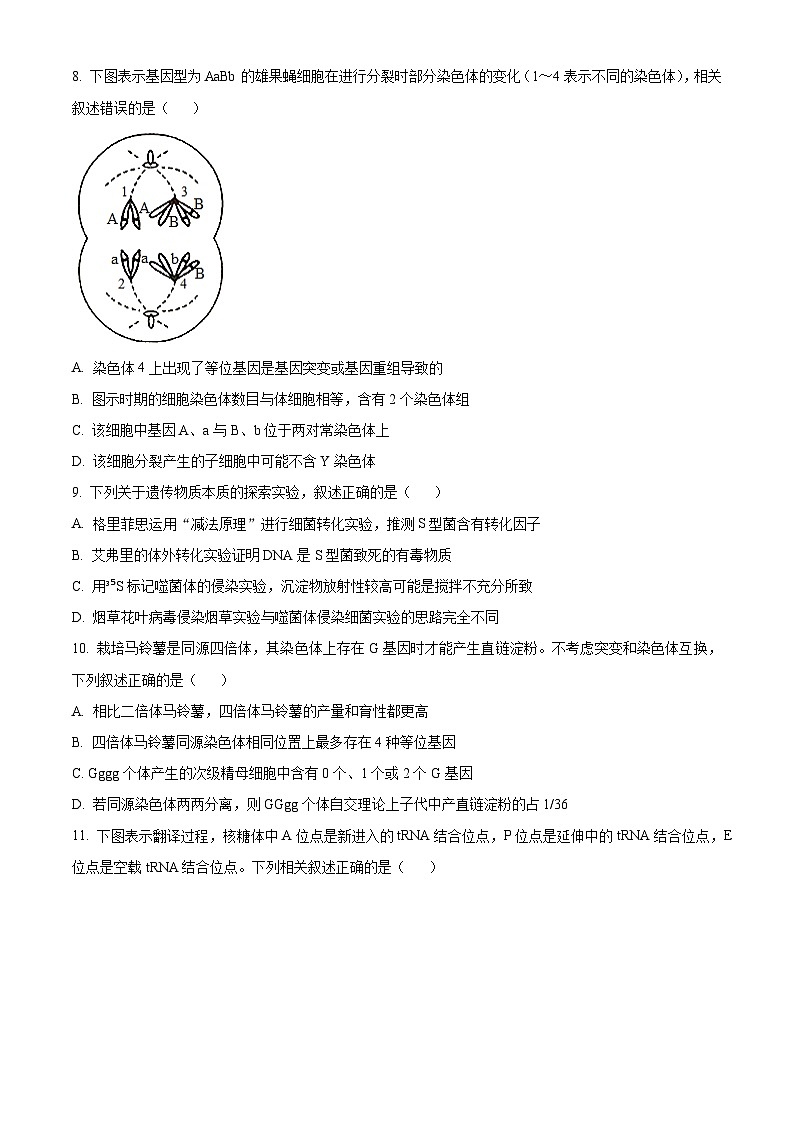 江苏省扬州市2024-2025学年高三上学期11月期中生物试题  Word版无答案第3页