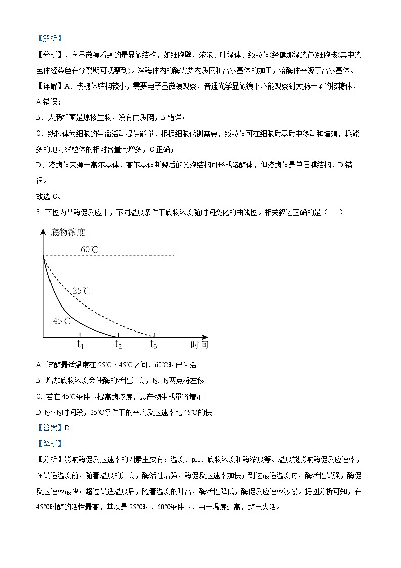 江苏省扬州市2024-2025学年高三上学期11月期中生物试题  Word版含解析第2页