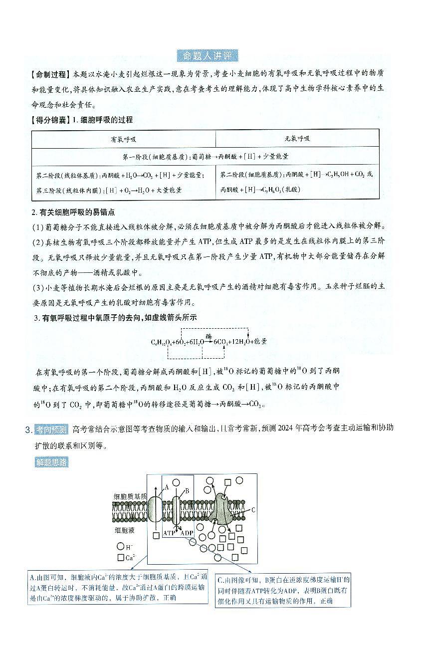 解析第2页