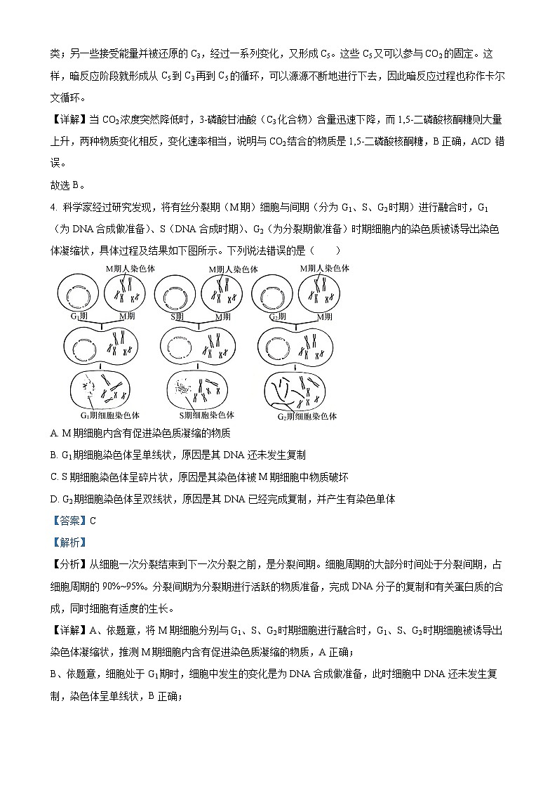 2025届广西壮族自治区来宾市高三下学期4月二模生物试题  Word版含解析第3页