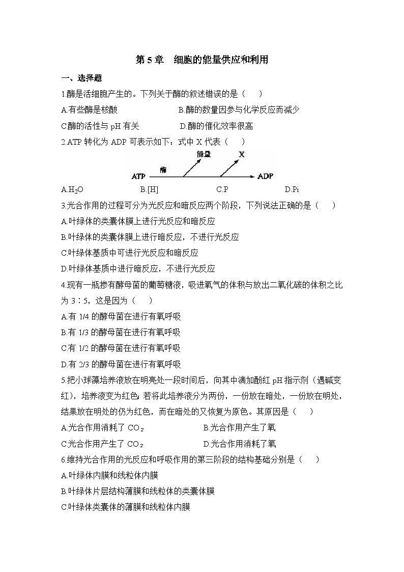 人教版 (新课标)高中生物必修1 第四章《细胞的能量供应和利用》单元测试 无答案第1页