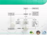 人教版 (新課標)高中生物必修1 第三章《細胞的基本結構》復習課件