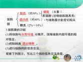 人教版 (新課標)高中生物必修1 第三章《細胞的基本結構》復習課件