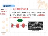 人教版 (新課標(biāo))高中生物必修1 4-2《生物膜的流動(dòng)鑲嵌模型》課件