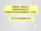 人教版 (新課標(biāo))高中生物必修1 4-2《生物膜的流動(dòng)鑲嵌模型》課件