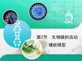 人教版 (新課標)高中生物必修1 4-2《生物膜的流動鑲嵌模型》復習課件