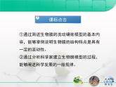 人教版 (新課標)高中生物必修1 4-2《生物膜的流動鑲嵌模型》復習課件