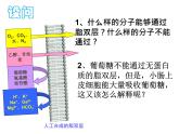 人教版 (新課標(biāo))高中生物必修1 4-3《物質(zhì)跨膜運輸?shù)姆绞健氛n件
