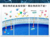 人教版 (新課標(biāo))高中生物必修1 4-3《物質(zhì)跨膜運(yùn)輸?shù)姆绞健氛n件
