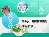 人教版 (新課標(biāo))高中生物必修1 第四章《細(xì)胞的物質(zhì)輸入和輸出》復(fù)習(xí)課件