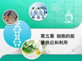 人教版 (新課標(biāo))高中生物必修1 第四章《細(xì)胞的能量供應(yīng)和利用》章末復(fù)習(xí)課件