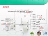 人教版 (新課標(biāo))高中生物必修1 第四章《細(xì)胞的能量供應(yīng)和利用》章末復(fù)習(xí)課件