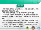 人教版 (新課標(biāo))高中生物必修1 第四章《細(xì)胞的能量供應(yīng)和利用》章末復(fù)習(xí)課件
