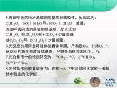 人教版 (新課標(biāo))高中生物必修1 第四章《細(xì)胞的能量供應(yīng)和利用》章末復(fù)習(xí)課件