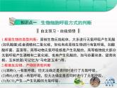 人教版 (新課標(biāo))高中生物必修1 第四章《細(xì)胞的能量供應(yīng)和利用》章末復(fù)習(xí)課件