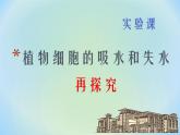 人教版 (新課標)高中生物必修1 第三章《植物細胞的吸水和失水再探究》課件