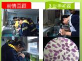 人教版 (新課標)高中生物必修1 第三章《植物細胞的吸水和失水再探究》課件