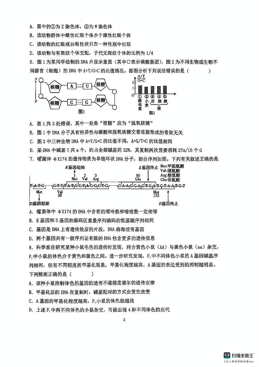 山东省青岛市胶州市实验中学2024-2025学年高一下学期6月月考生物试题第2页