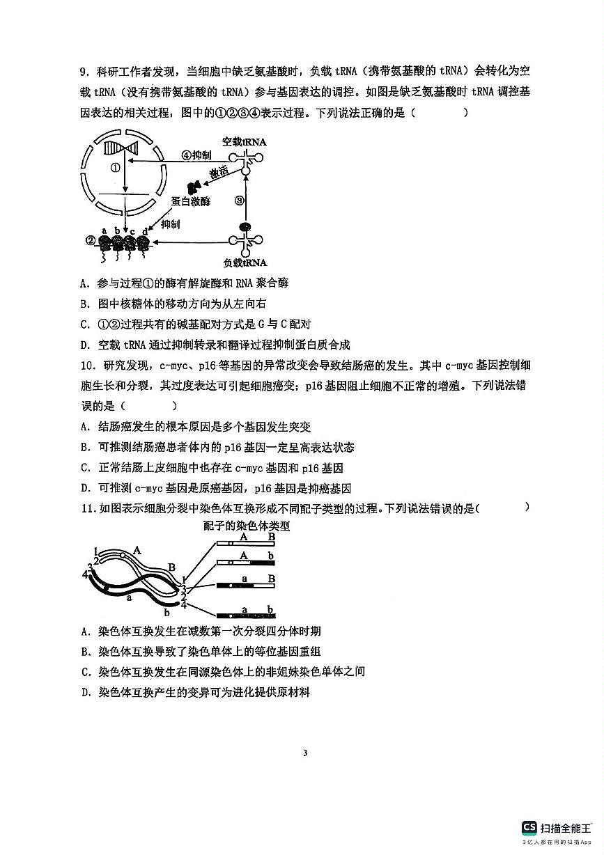 山东省青岛市胶州市实验中学2024-2025学年高一下学期6月月考生物试题第3页