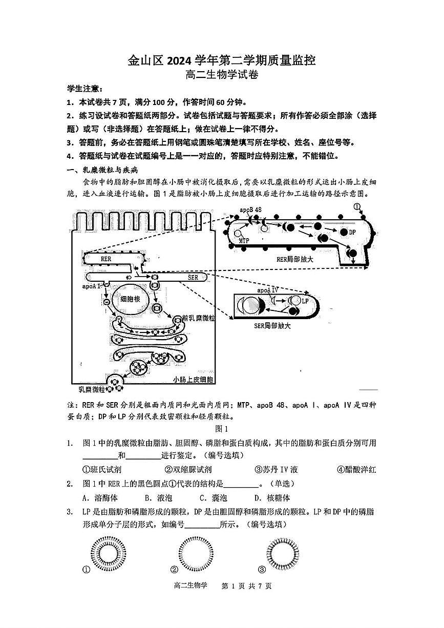 上海市金山区2024-2025学年高二下学期学业水平合格性考试生物试卷第1页