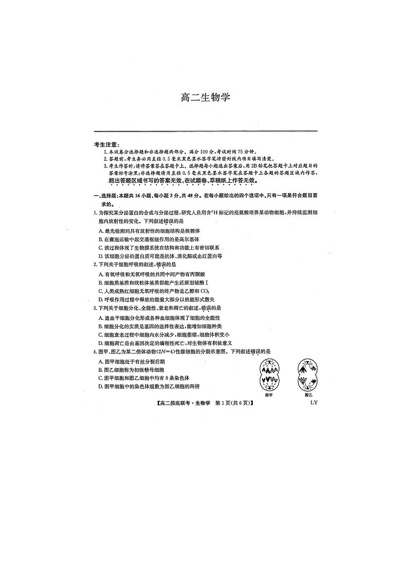 河南省九师联盟2024-2025学年下期高二6月摸底联考生物试卷含答案第1页