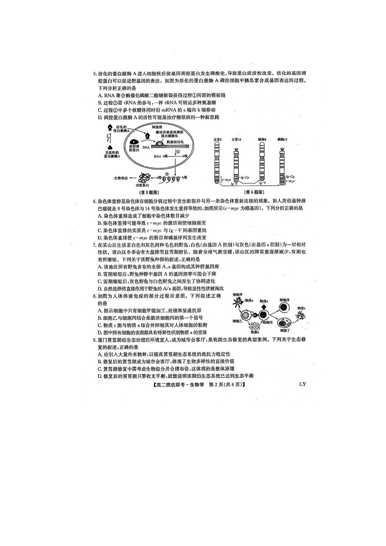 河南省九师联盟2024-2025学年下期高二6月摸底联考生物试卷含答案第2页