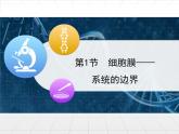 人教版 (新課標(biāo))高中生物必修1 3-1《細(xì)胞膜——系統(tǒng)的邊界》課件