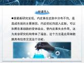 人教版 (新課標(biāo))高中生物必修1 3-1《細(xì)胞膜——系統(tǒng)的邊界》課件