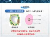 人教版 (新課標(biāo))高中生物必修1 3-1《細(xì)胞膜——系統(tǒng)的邊界》課件